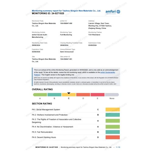 BSCI Social Responsibility Certification emblem